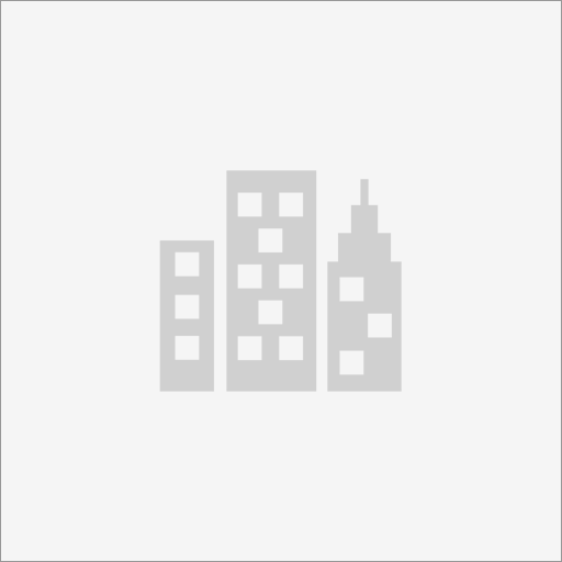 WordPress Developer